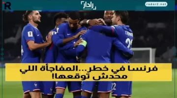 ثلاث نقاط.. انتفاضة آيسلندا تهز الصدارة أمام فرنسا في مواجهة داود وجالوت الكروية!
